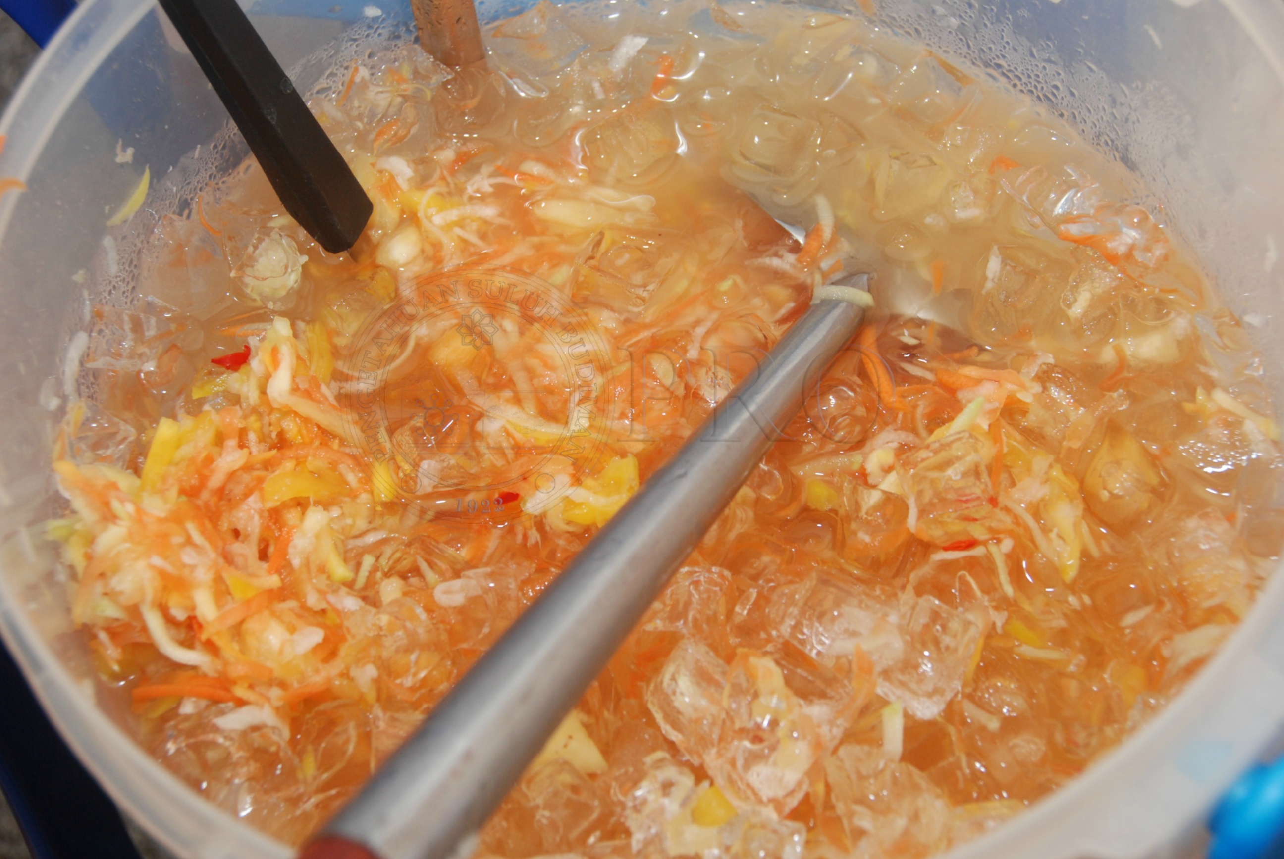 PRO 12 136 food DSC 9165